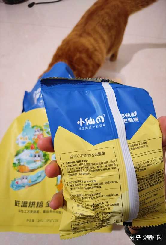 在天猫买猫粮还是在旗舰店买？我踩过坑后的真心话